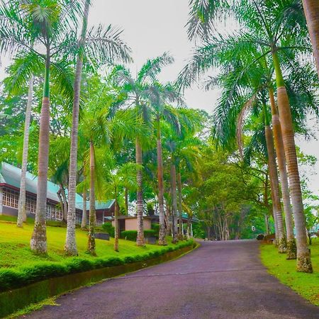 Rajanawa Resort Ratnapura Exteriör bild