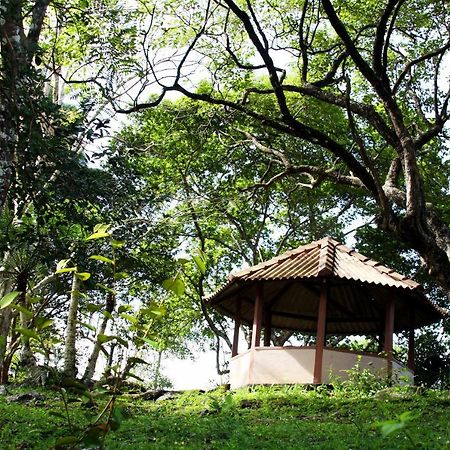 Rajanawa Resort Ratnapura Exteriör bild