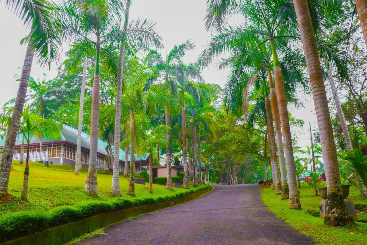 Rajanawa Resort Ratnapura Exteriör bild