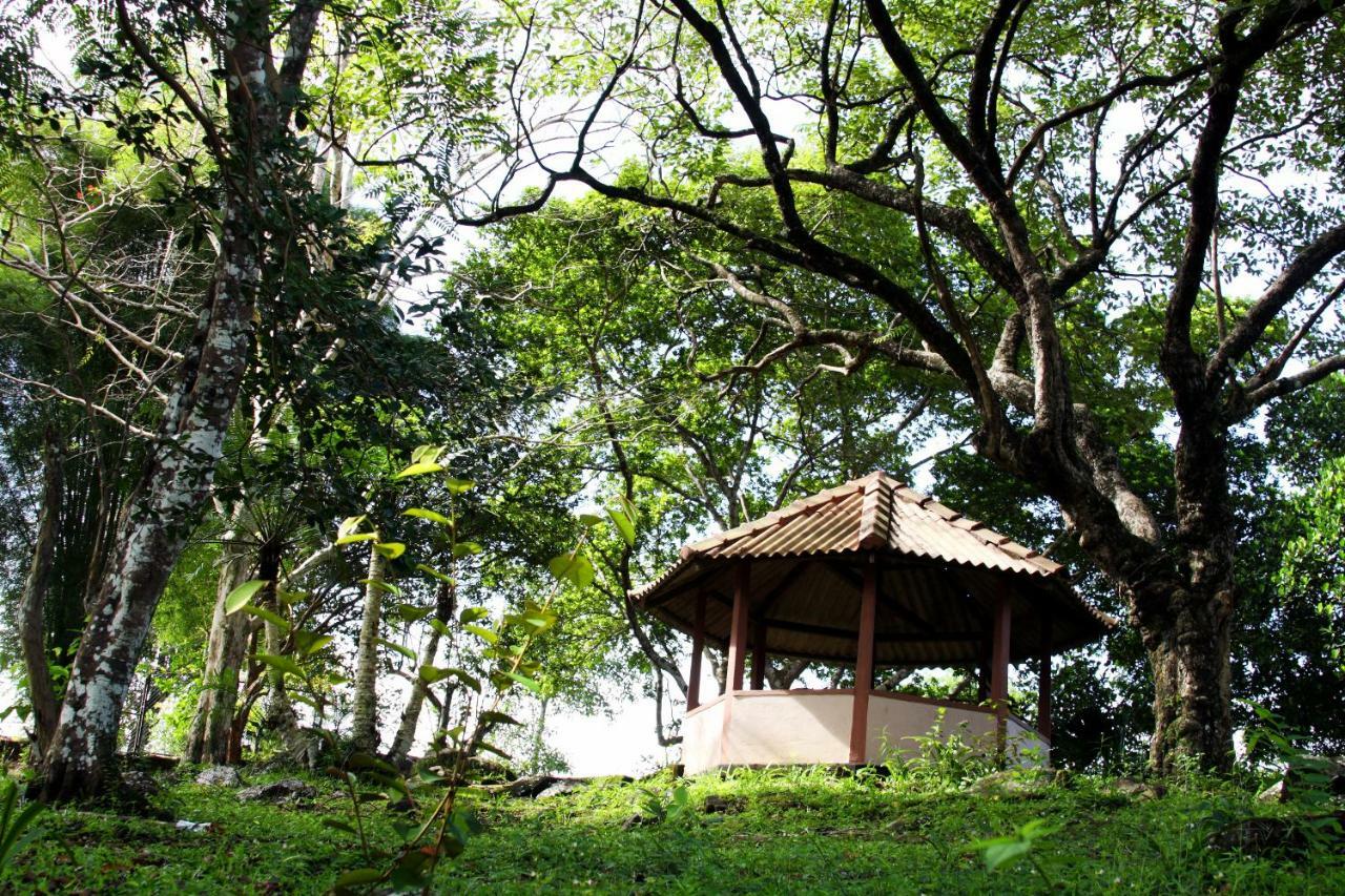 Rajanawa Resort Ratnapura Exteriör bild